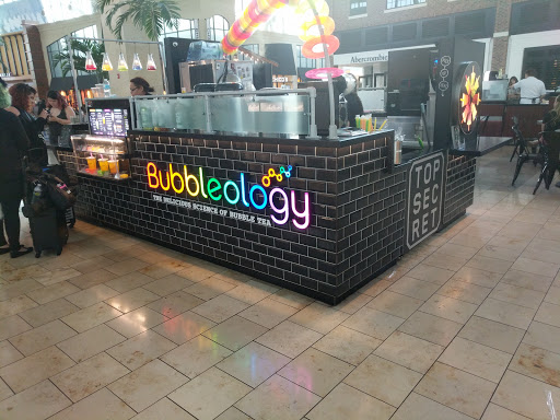 Bubbleology - Visual