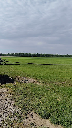 Eurogreen-Tiszafa Kft. - Gyepszőnyeg termesztő telep