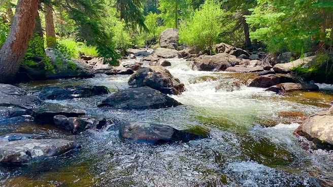 Explorer Denver Tours by null