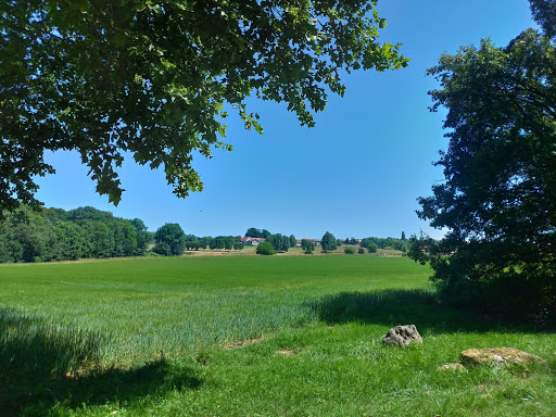 Chigny Woods - Thumbnail
