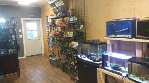 Serenity Aquariums LLC Gallery - United States