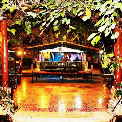 Photos of رستوران پادرا
