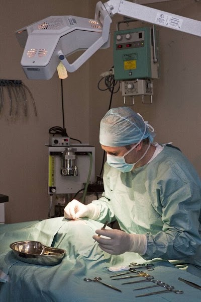 Photos of Riverforest Veterinary Centre