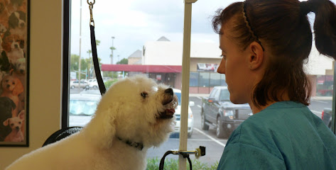 Lovet Pet Health Care - Dobson Ranch