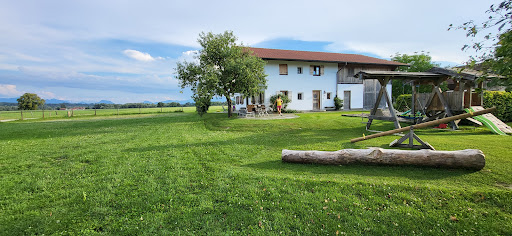 Springerhof - Visual