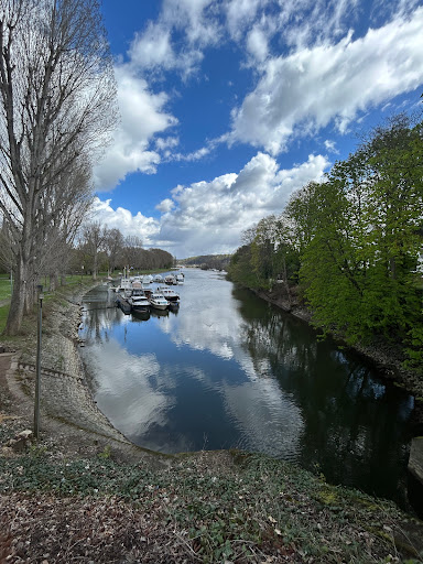 Schwanenteich Koblenz - Thumbnail