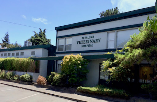 Petaluma Veterinary Hospital - Thumbnail