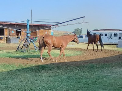 Wyoming Downs