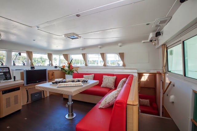 Sailaway Reef & Island Tours