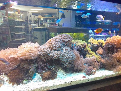 Claremont Pet & Aquarium Center