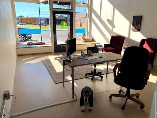 Tech Hound - Visual