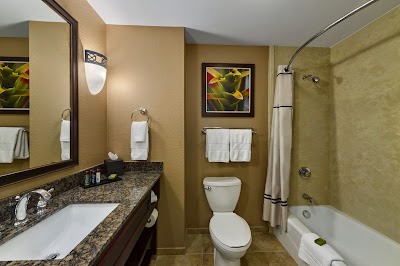 Photos of Embassy Suites by Hilton Orlando Lake Buena Vista South