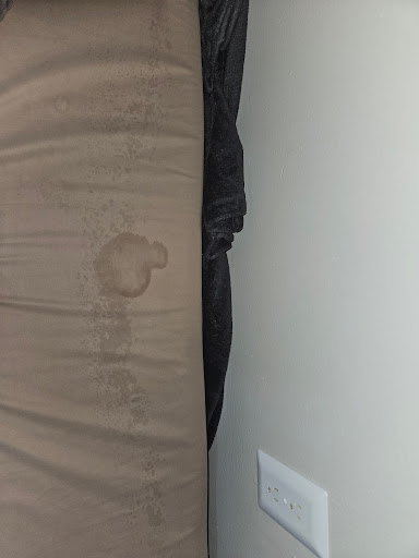 Servall Termite & Pest Control - Thumbnail