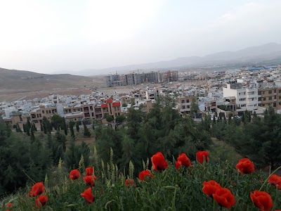 park