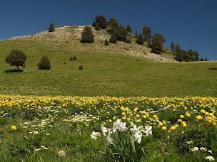 Photo n°4 de Camping Municipal Saint Martin à Beaumont-en-Diois (Terrain de camping)
