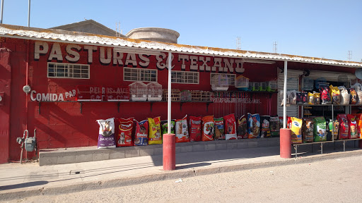 Pasturas El Texano Gallery - Mexico
