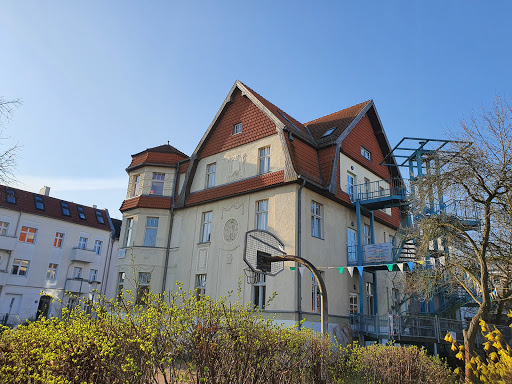 Toller 31 - Visual