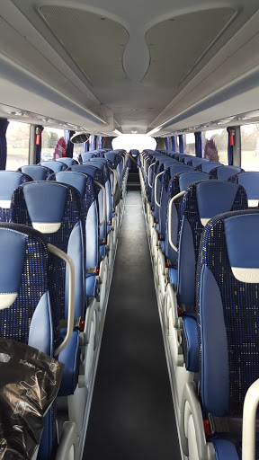 Shuttle Bus zum Polenmarkt Hohenwutzen - Thumbnail