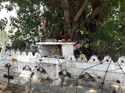 Photos of Raja Ela Raja Maha Viaharaya