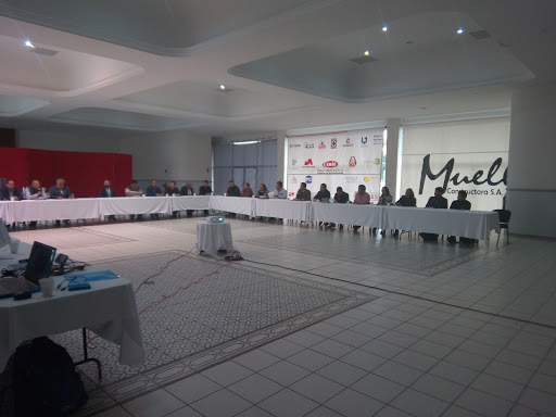 Cmic ags - Visual