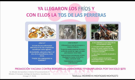 Estetica veterinaria Can Inn Gallery - Mexico