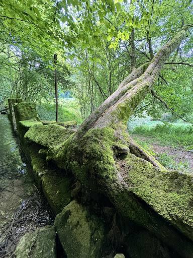 Wunderschöner Wanderweg - Visual