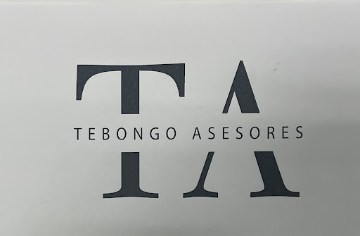TEBONGO ASESORES - Thumbnail