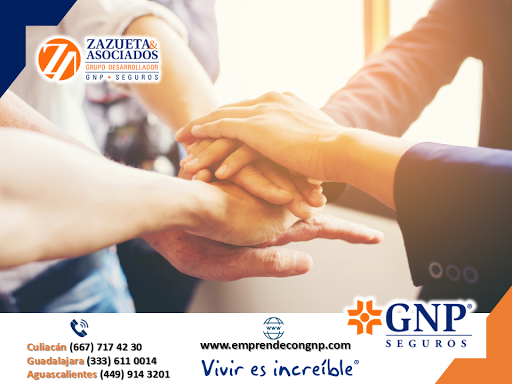 Agente de Seguros GNP Zazueta - Thumbnail