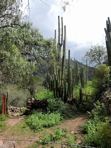 Rancho La Cuesta Del Gallo - Thumbnail