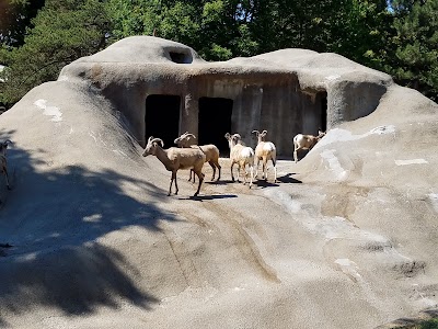 Photos of The Buffalo Zoo