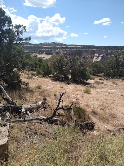 Cold Shivers Point Overlook