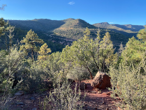 Mescal Trail #547 Parking