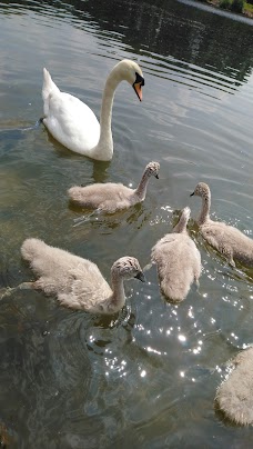 Chorlton Water Park manchester