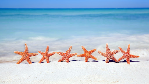 Playa Property Investments Real Estate