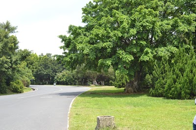 photo of Dafushan Forest Park