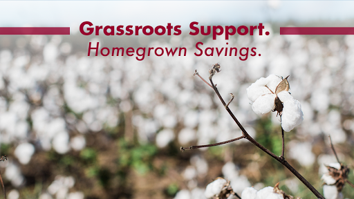 Georgia Farm Bureau Insurance
