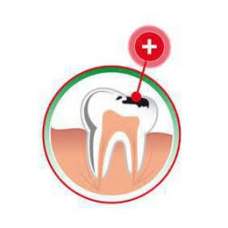 Mencarelli Dr. Marco - Thumbnail