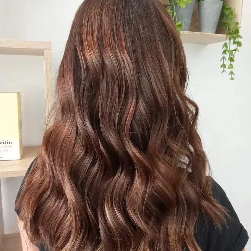 María José Sánchez peluqueria