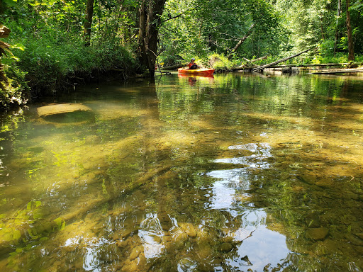 Hickman Shores Road Boat Ramp - Thumbnail