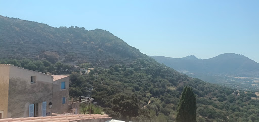 Pigna - Visual