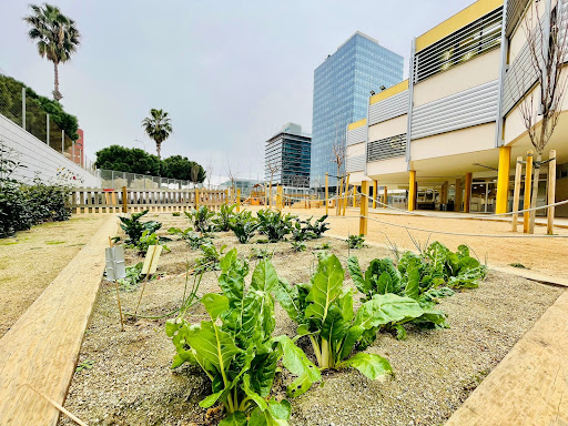 Escola Enric Granados