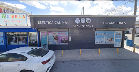 Guaw-Perrimos Cremaciónes