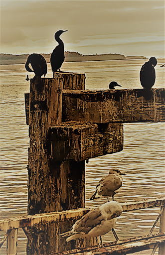 Seahouse Gallery