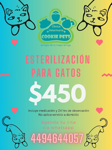 Clinica Veterinaria Cookie Pet's