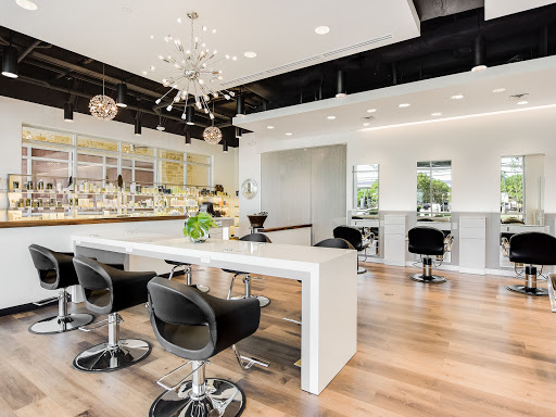 Maximum FX Salon - Visual