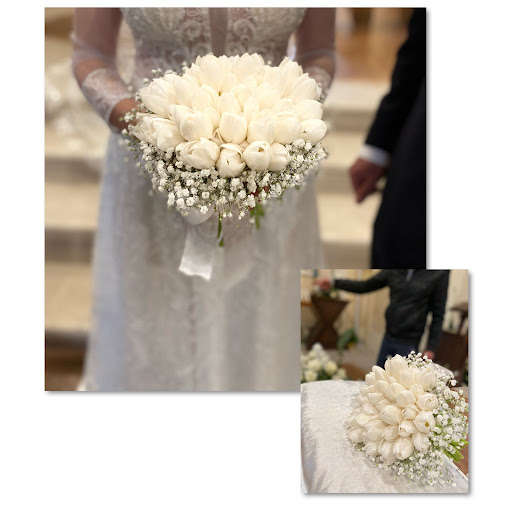 Fiori Vitale - Thumbnail