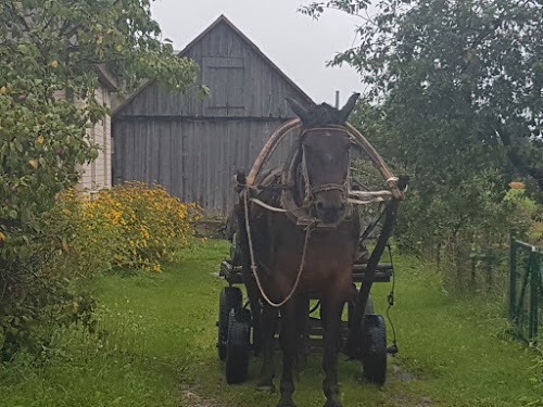 Viesu māja "Pumpuri"