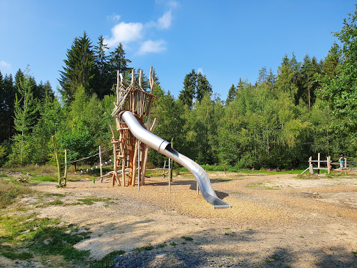 Walderlebnispfad Waldnaabaue - Thumbnail