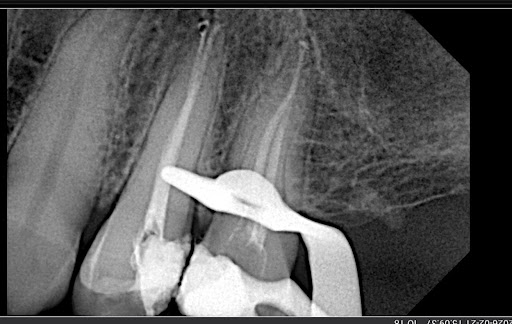 Gallery image 15