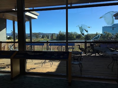 Redwood Shores Branch Library